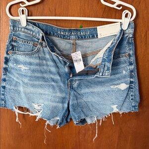 American Eagle Outfitters Light Blue Ripped Jean Shorts